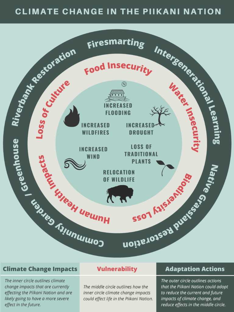 Infographic illustrating the Piikani Nation's approach to understanding climate change.