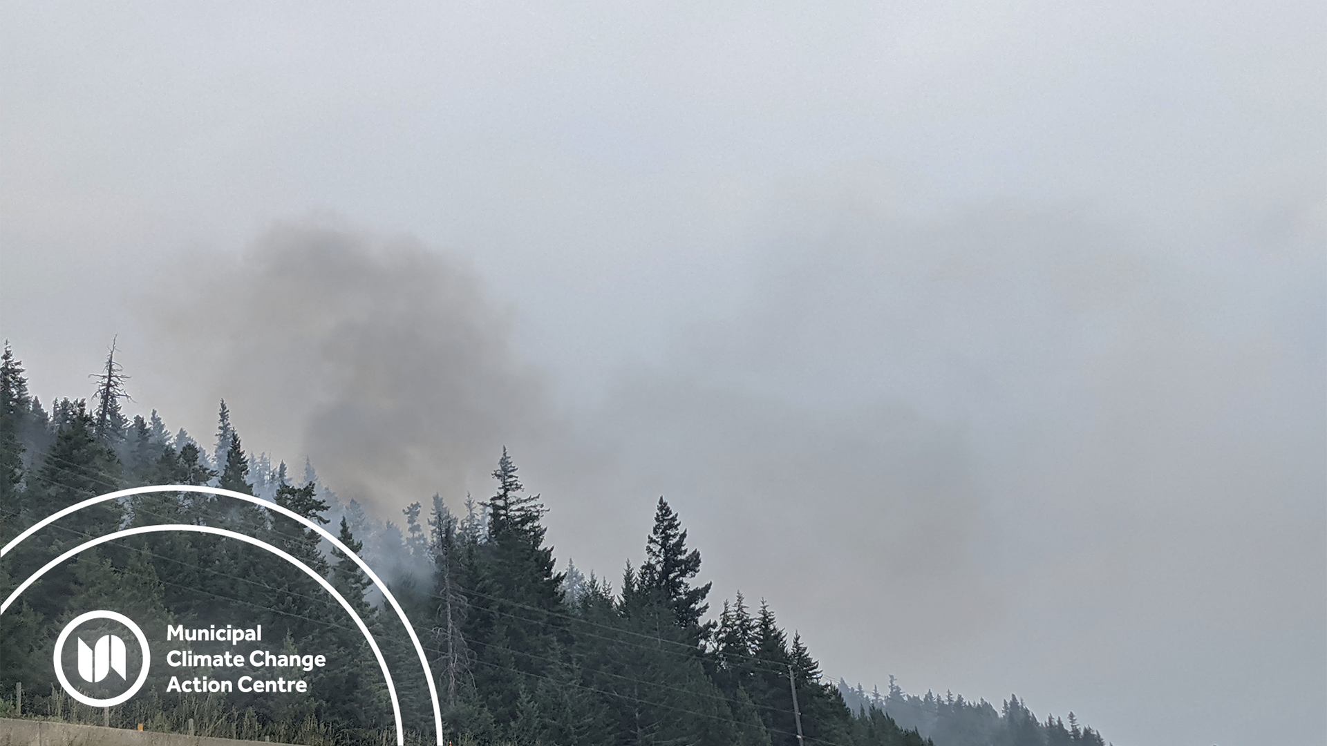 Plume of wildfire smoke coming out of a forest